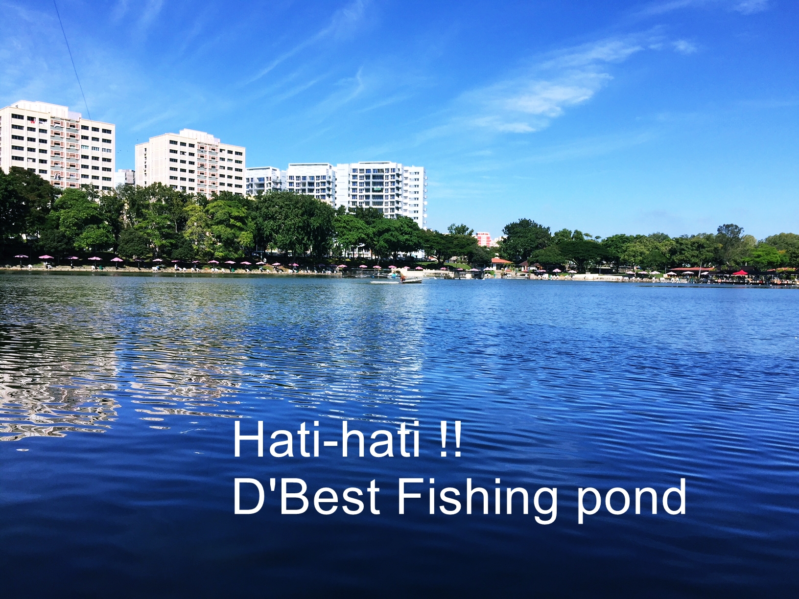 シンガポールの釣堀、D’Best Fishing pond