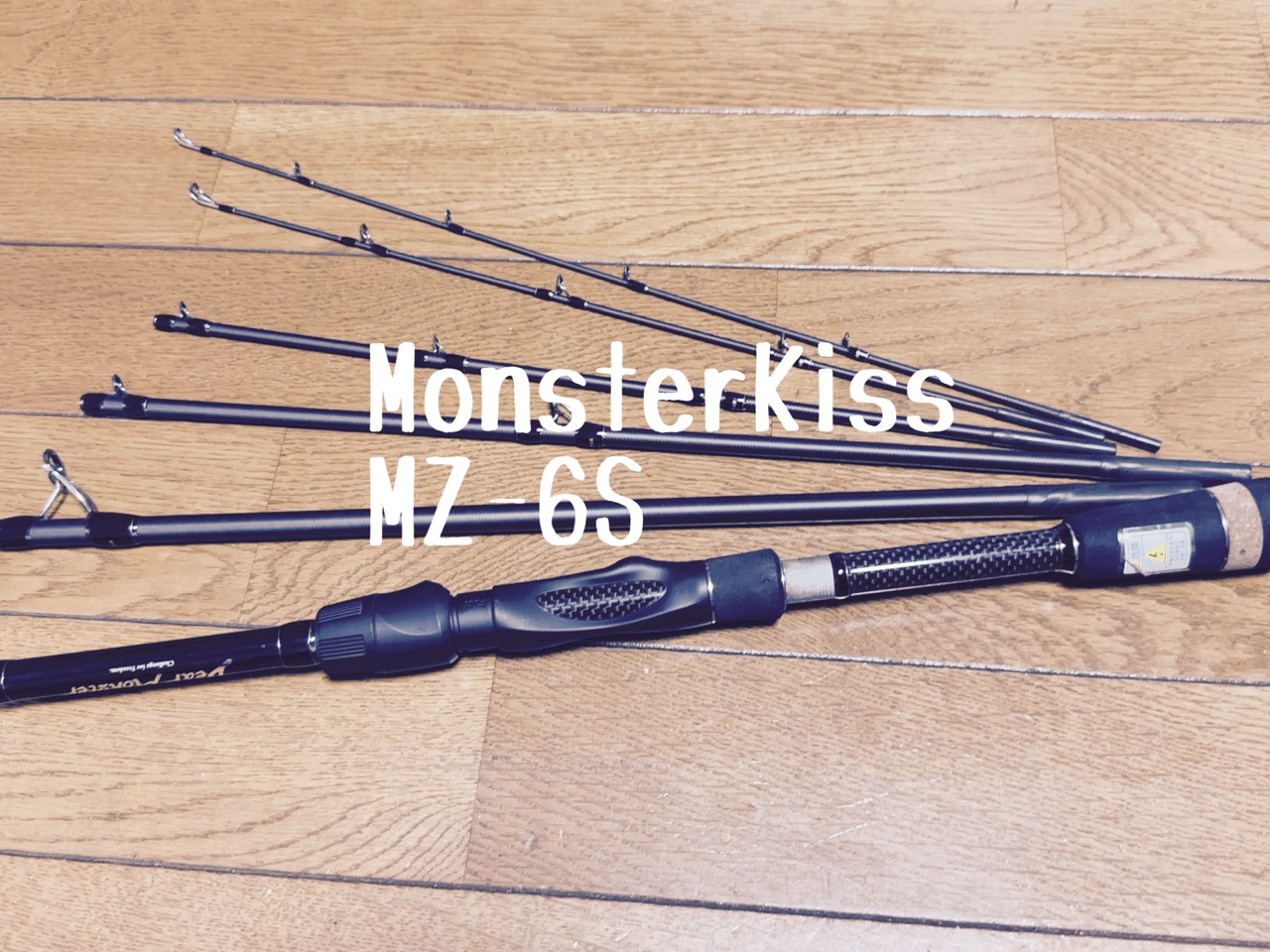 パックロッド探訪、ディアモンスターMZ-6S