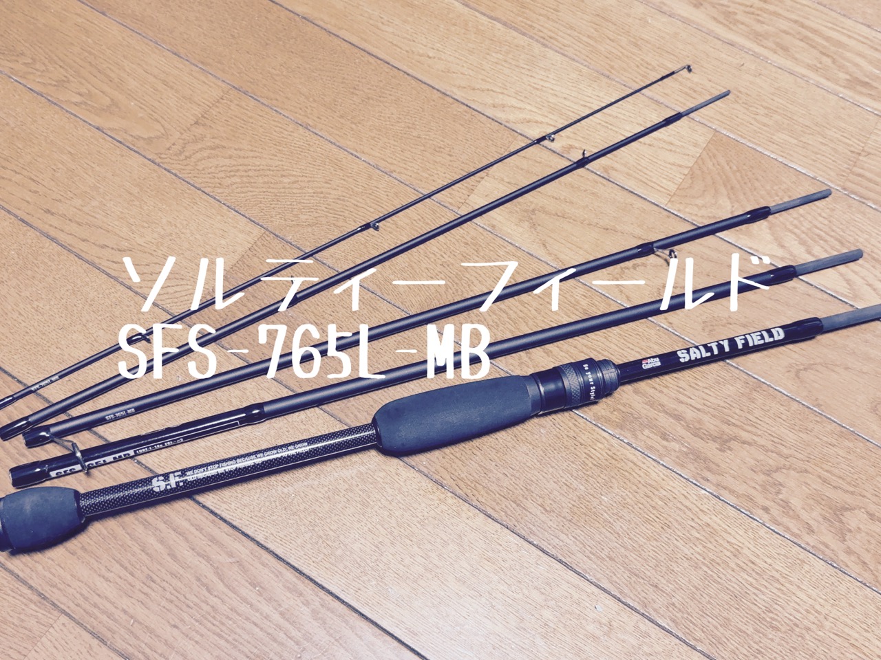 パックロッド探訪、アブガルシアソルティーフィールド SFC-765L-MB